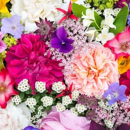 The 8 Best Valentine's Day Flower Deals Online for All Your Loved Ones