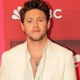 Niall Horan Talks Friendship With Blake Shelton at 'The Voice' Finale