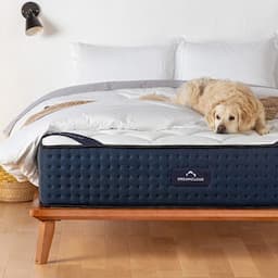 These 20 Top-Rated Mattresses Are Loved By Amazon Shoppers 