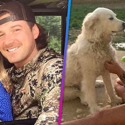 Morgan Wallen's Son Taken to Emergency Room After Dog Bites His Face