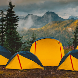 Save Up to 48% On Coleman Camping Gear: Tents, Coolers, Stoves & More