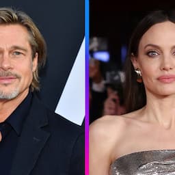 Judge Dismisses Majority of Brad Pitt's Claims Against Angelina Jolie 