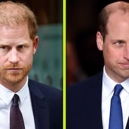 Princes William and Harry to Unite Virtually for Princess Diana Event