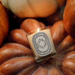 Diptyque's Pumpkin-Scented Citrouille Candle Is Back in Stock to Embrace Autumn at Home