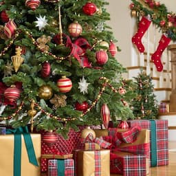 Balsam Hill's Best-Selling Artificial Christmas Trees Are Up to 40% Off 