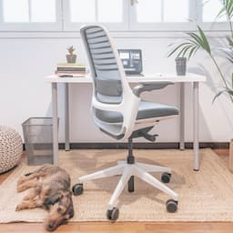 Upgrade Your Home Office with Wayfair's Office Chair Deals