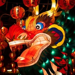 Lunar New Year 2024: How to Celebrate the Year of the Dragon