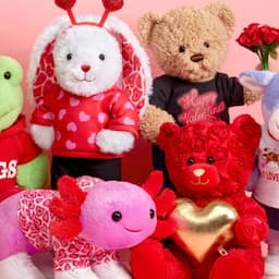 Make Your Kid's Valentine's Day Extraordinary with Build-A-Bear