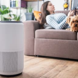 The Best Deals on Air Purifiers for Allergies at Amazon
