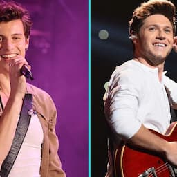 Shawn Mendes Takes the Stage for Surprise Performance With Niall Horan