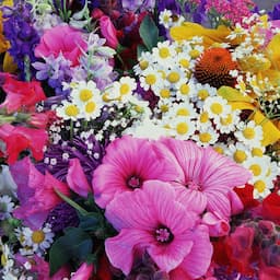 Beat the Rush: Save 25% on Mother's Day Flowers at The Bouqs Co.