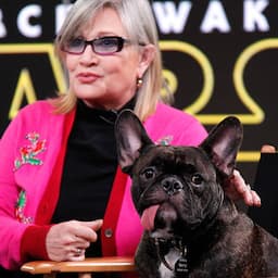 Carrie Fisher's Dog Watches New 'Star Wars' Trailer: 'Gary Misses His Mom'
