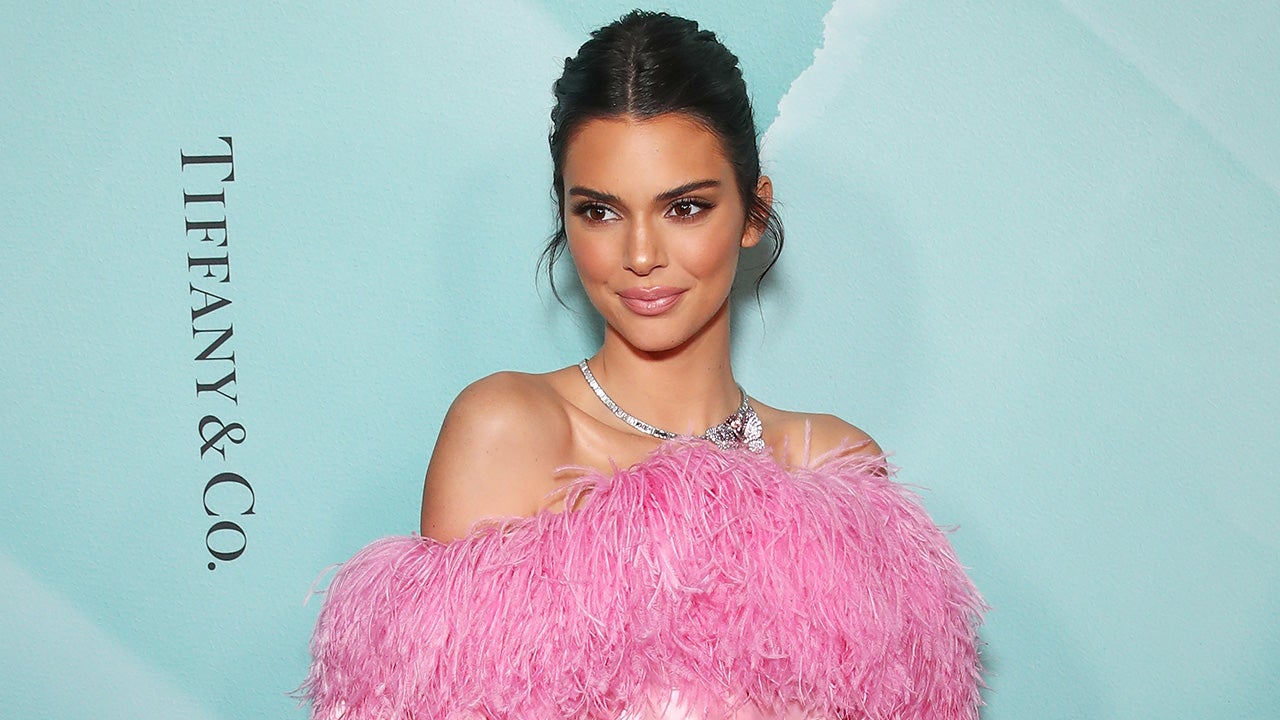 kendall jenner pink puffy dress Kendall Jenner's H&M x Giambattista Valli Dress Will Be Available to Buy Again Soon
