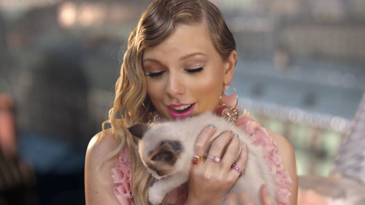 Taylor Swift Has A Cute New Cat And Hes Already A Music