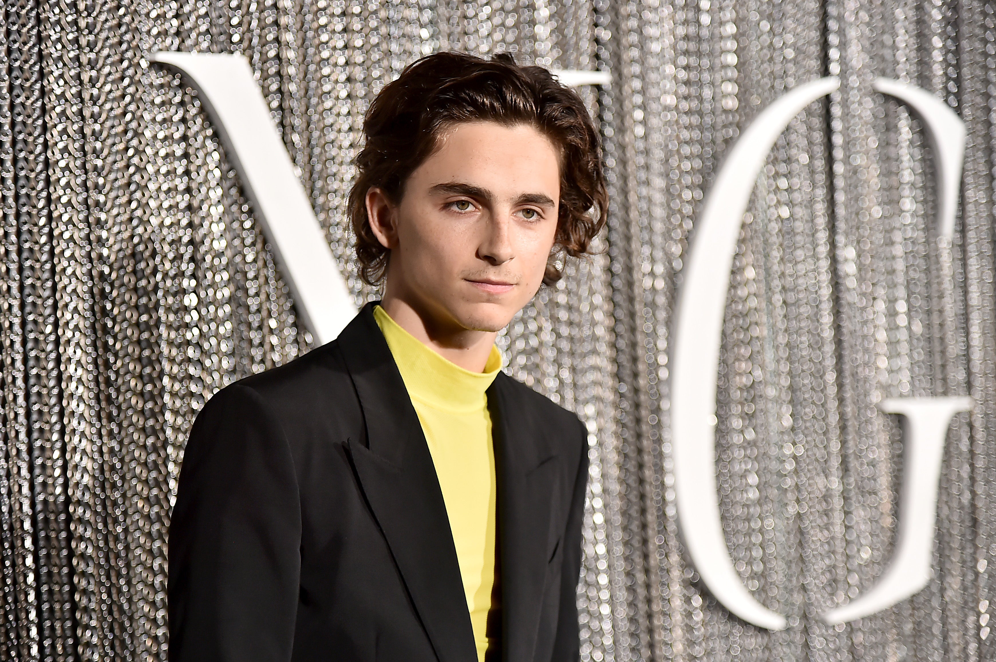 Timothée Chalamet & His Sequined Hoodie Will Make You Bow Down