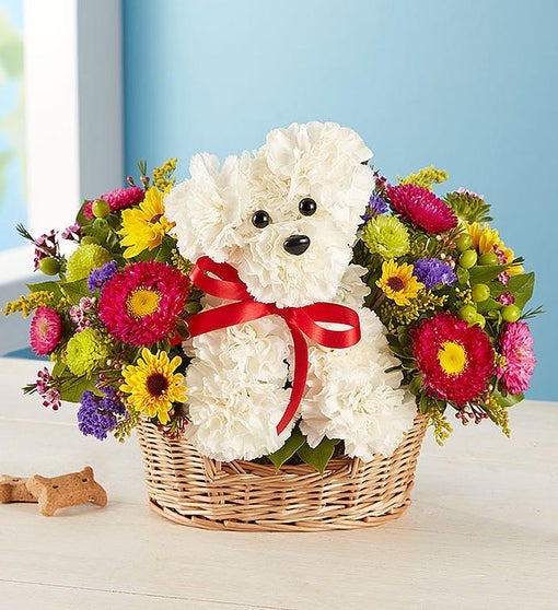 1-800-Flowers Dog Bouquet