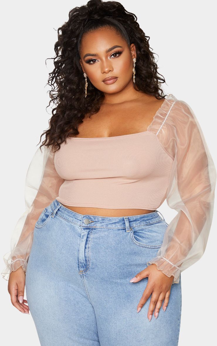 PrettyLittleThing Plus Stone Organza Long Sleeve Top