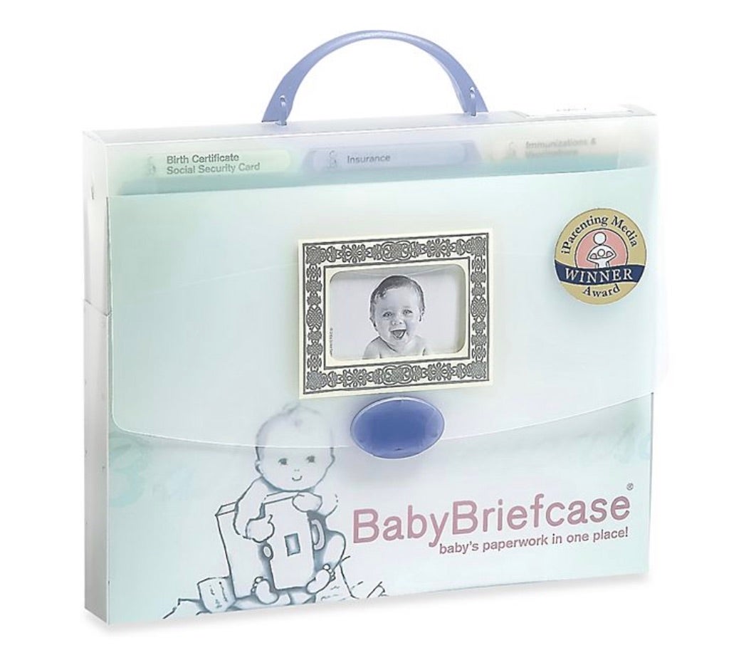 BabyBriefcase® Baby Paperwork Organizer