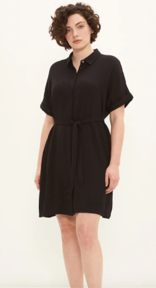 Short Sleeved Stand Collar Dress in Black