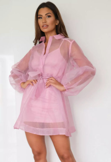 Pink Organza Long Sleeve Skater Shirt Dress