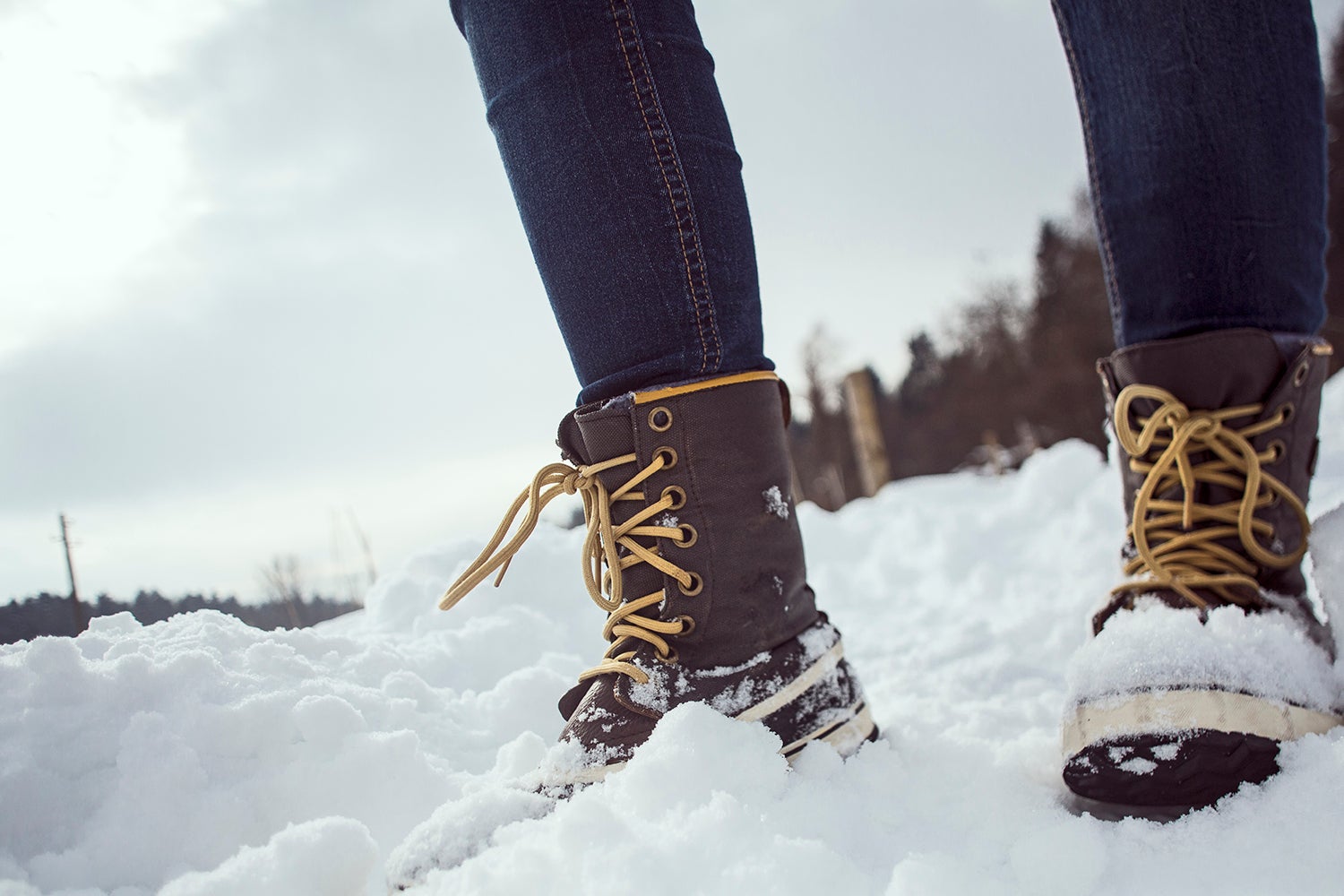 Stylish Winter Boots