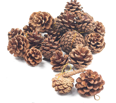JOHOUSE Natural Pine Cones