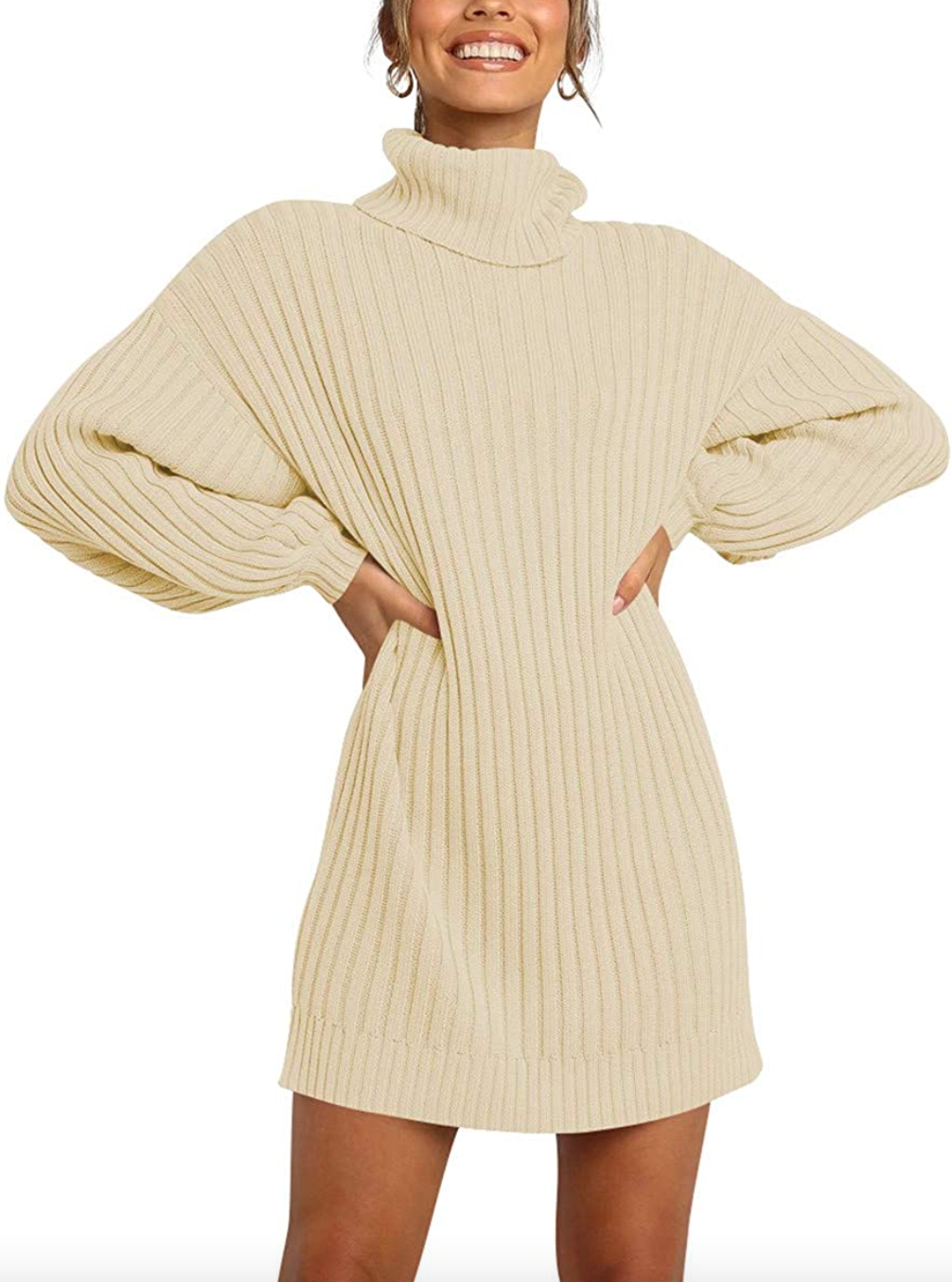 Prinbara Turtleneck Oversized Sweater Dress