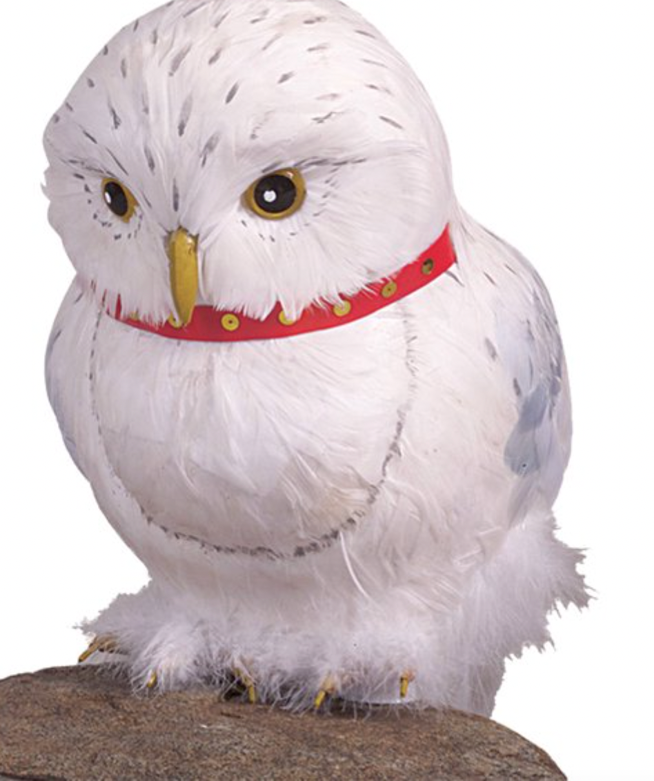 Harry Potter Owl Hedwig Accessory
