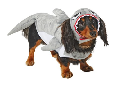 Frisco Shark Attack Dog & Cat Costume