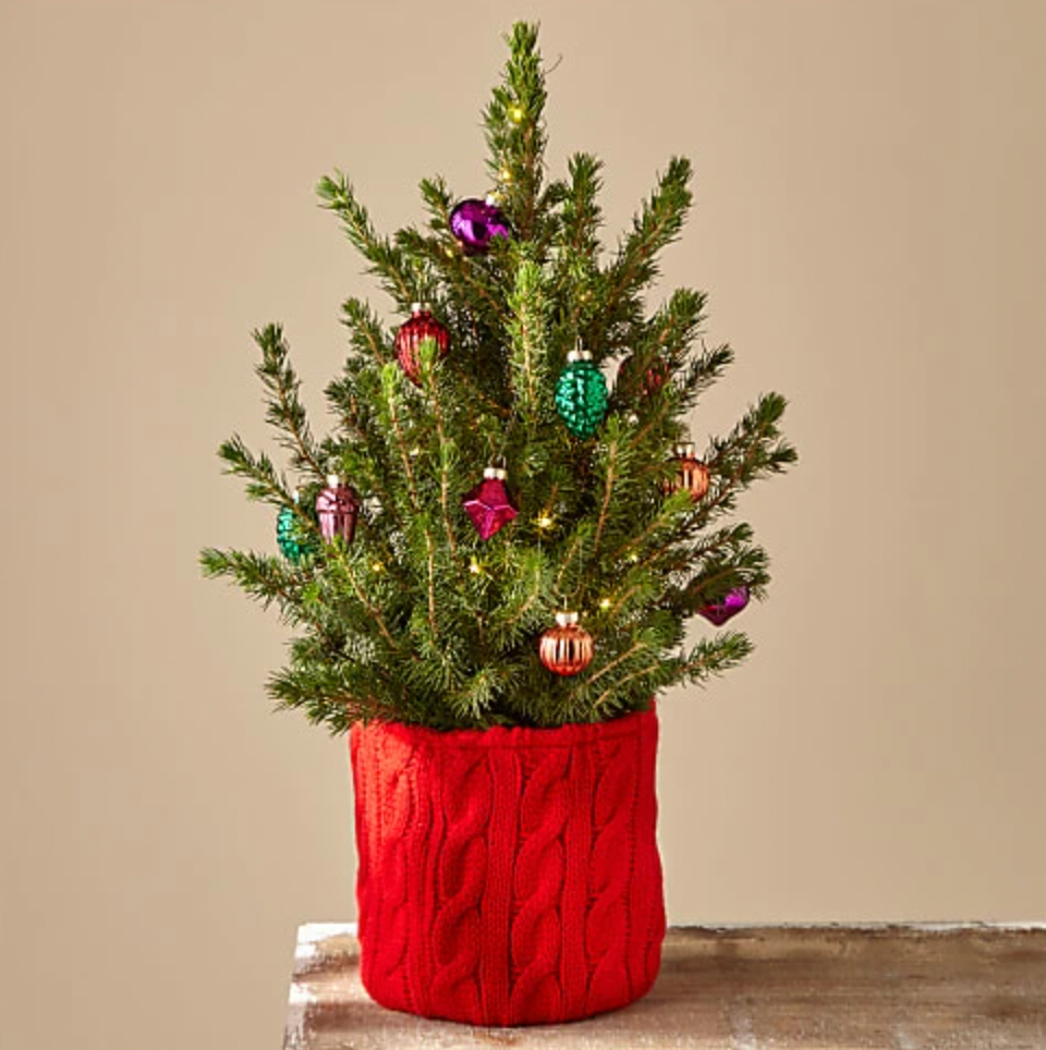 ProFlowers Season's Greetings Mini Christmas Tree