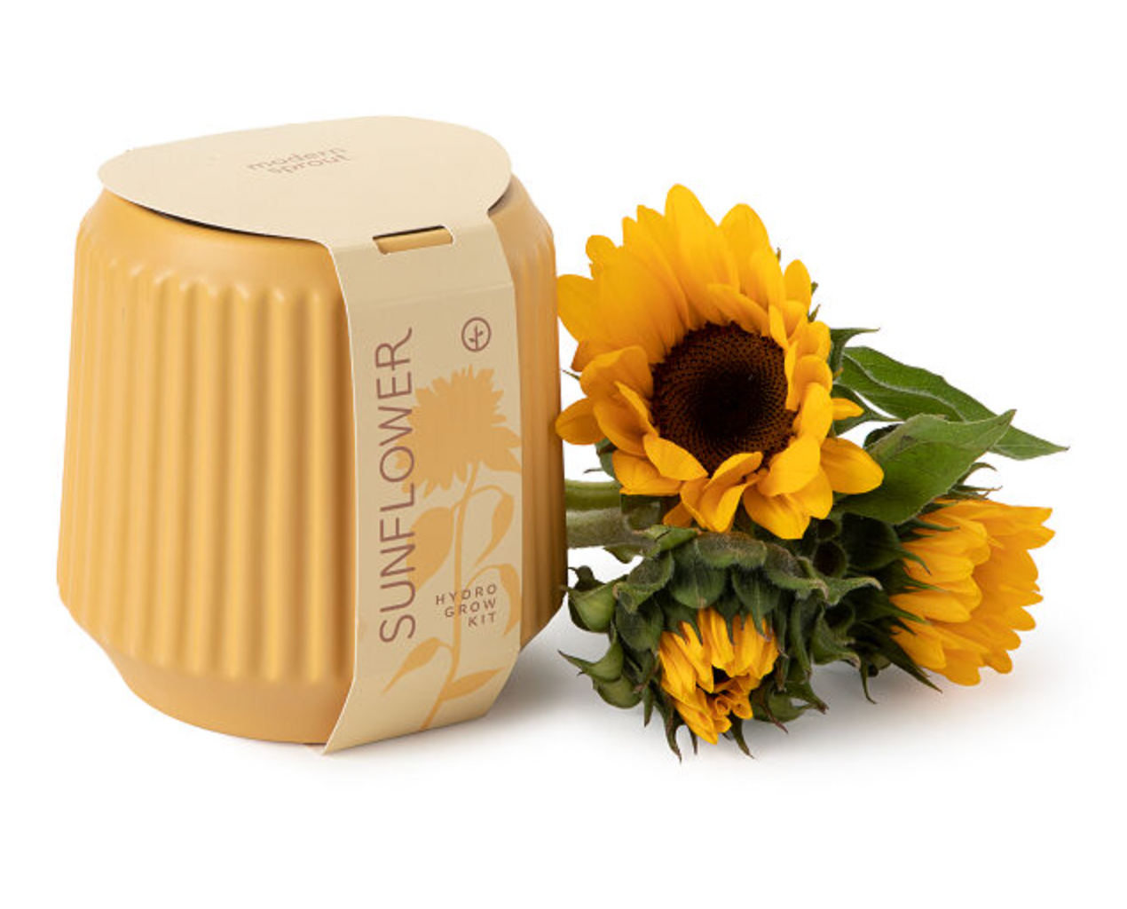 Uncommon Goods Self-Watering Sunflower Grow Kit