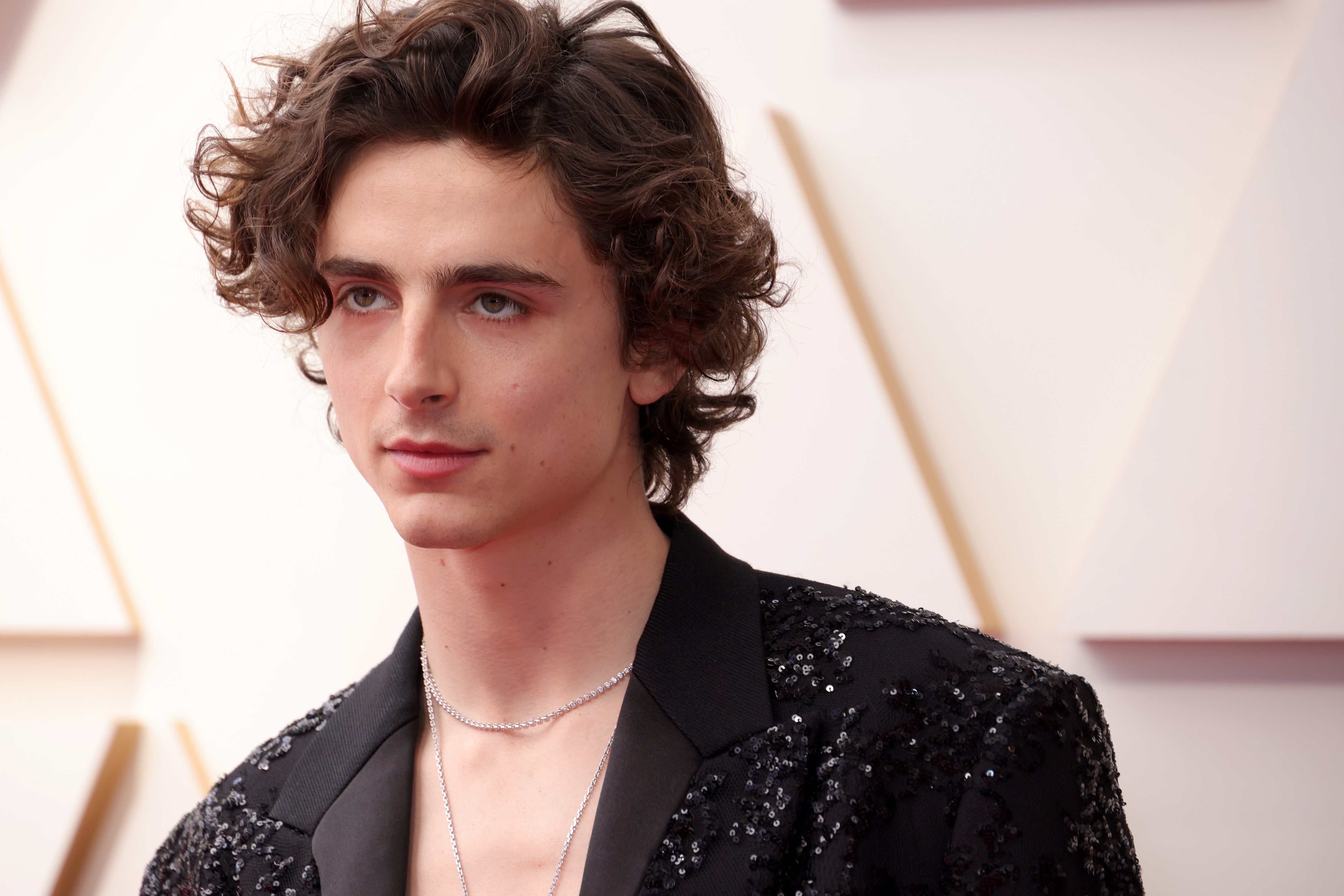 It Was All About What Timmy Chalamet Didn't Wear (A Shirt!) on the 2022  Oscars Red Carpet