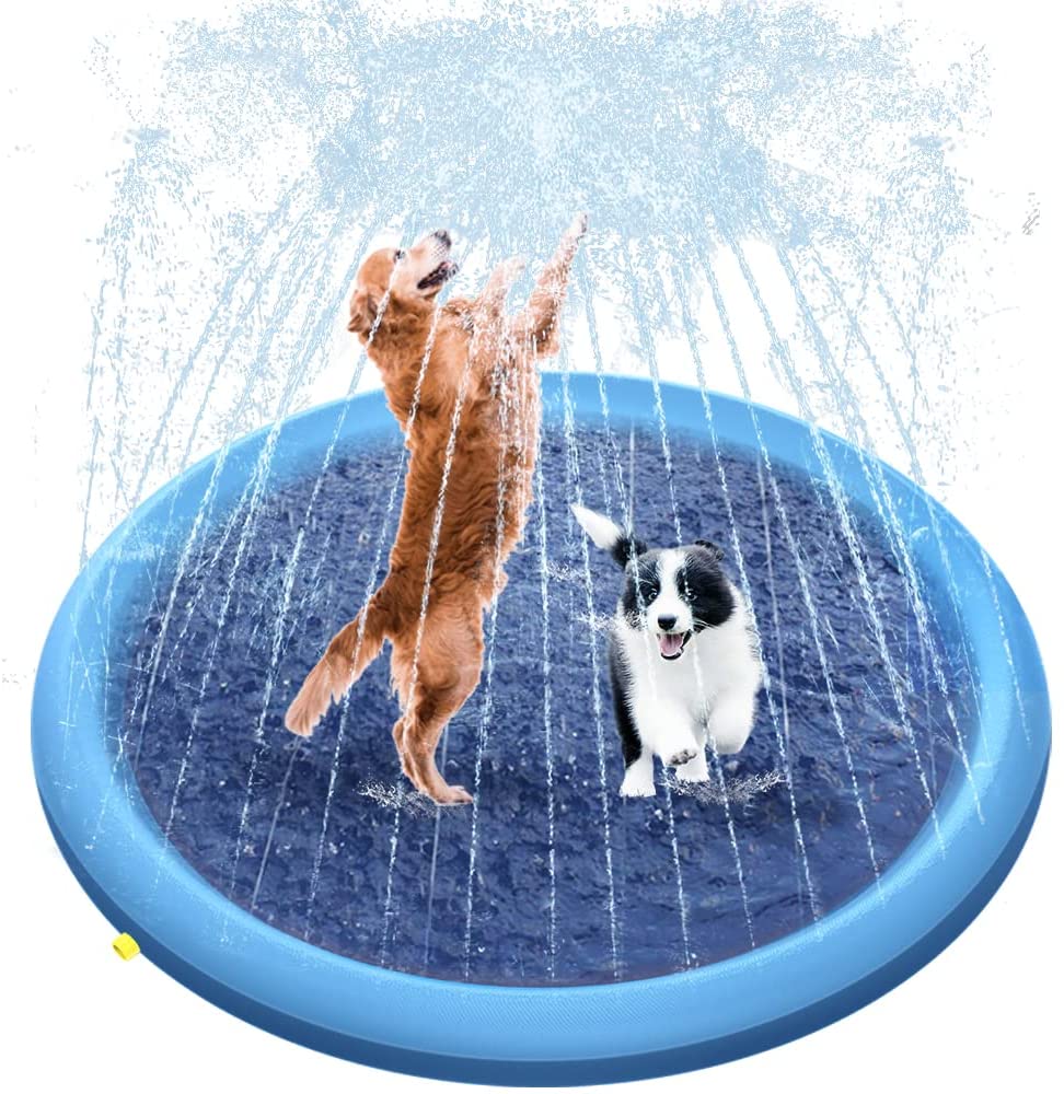Dog Pool Sprinkler Pad