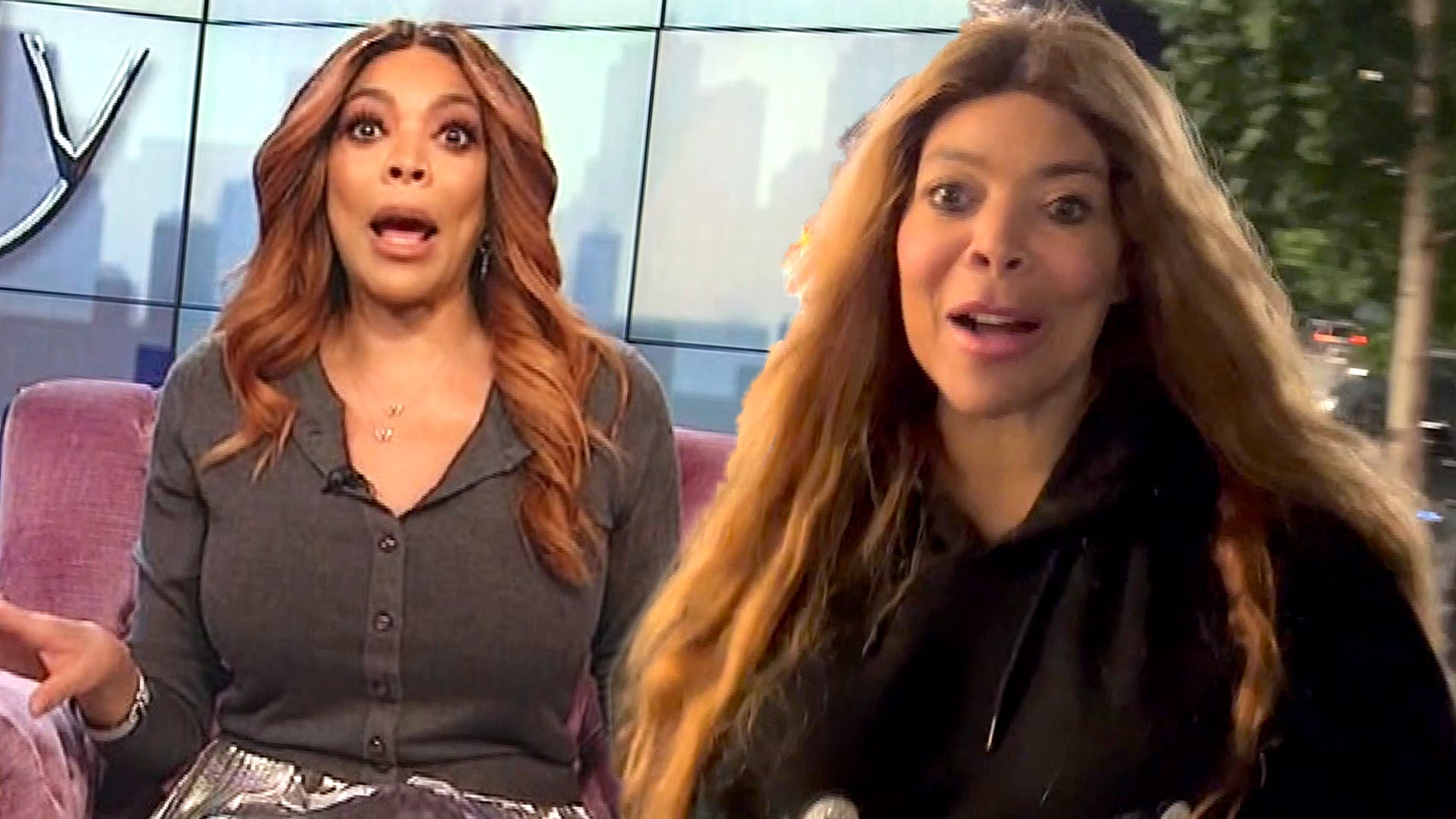 Wendy Williams Has Plans for Life and Love After Talk Show's Demise (Source)