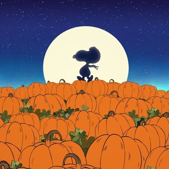 How to Watch 'It's the Great Pumpkin, Charlie Brown’ Entertainment