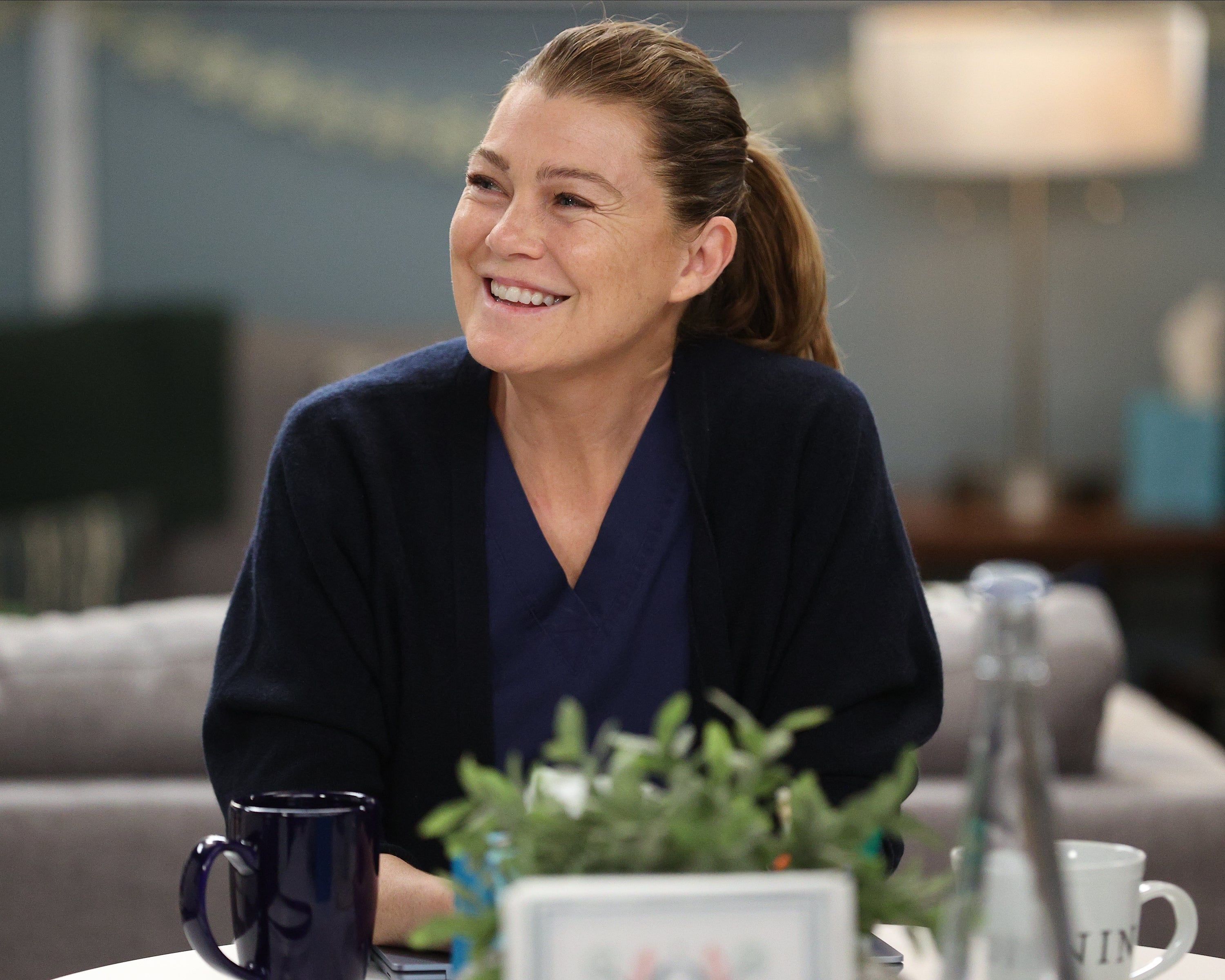 Grey's Anatomy Season 19: New and Returning Cast