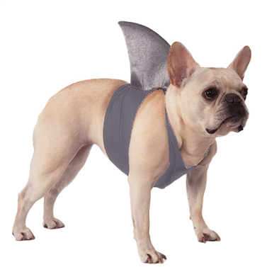 Rubies Costume Shark Fin Dog Costume