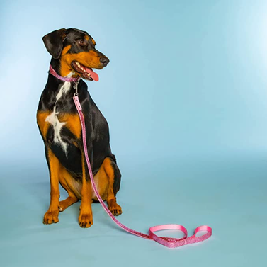 Doggy Parton Dog Harnesses and Leash-Collar Set