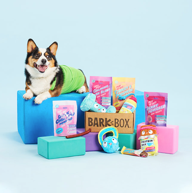 BarkBox Monthly Subscription