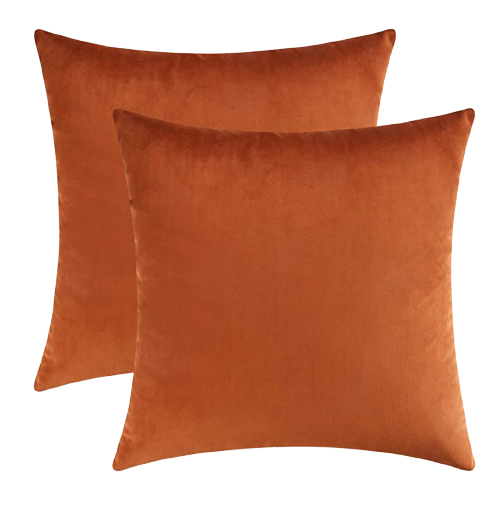 Mixhug Velvet Square Decorative Throw Pillows