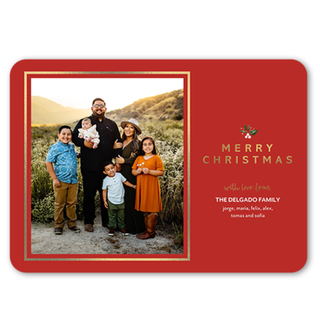 Sophisticated Sprig Holiday Card