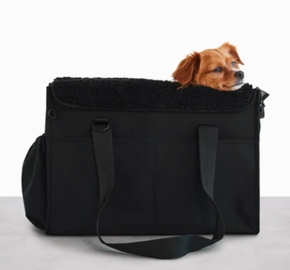 The Everyday Pet Tote