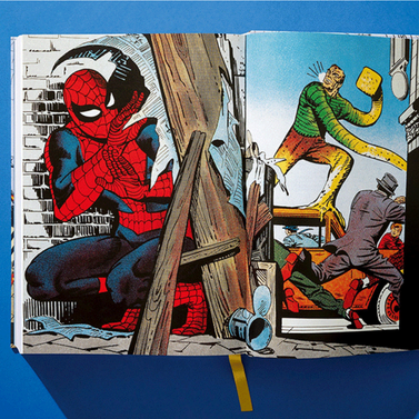 Marvel Comics Library: Spider-Man Vol. 1