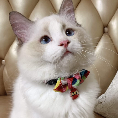PetSoKoo Diamond Shaped Bowtie Cat Collar with Bell
