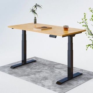 FlexiSpot Kana Bamboo Standing Desk