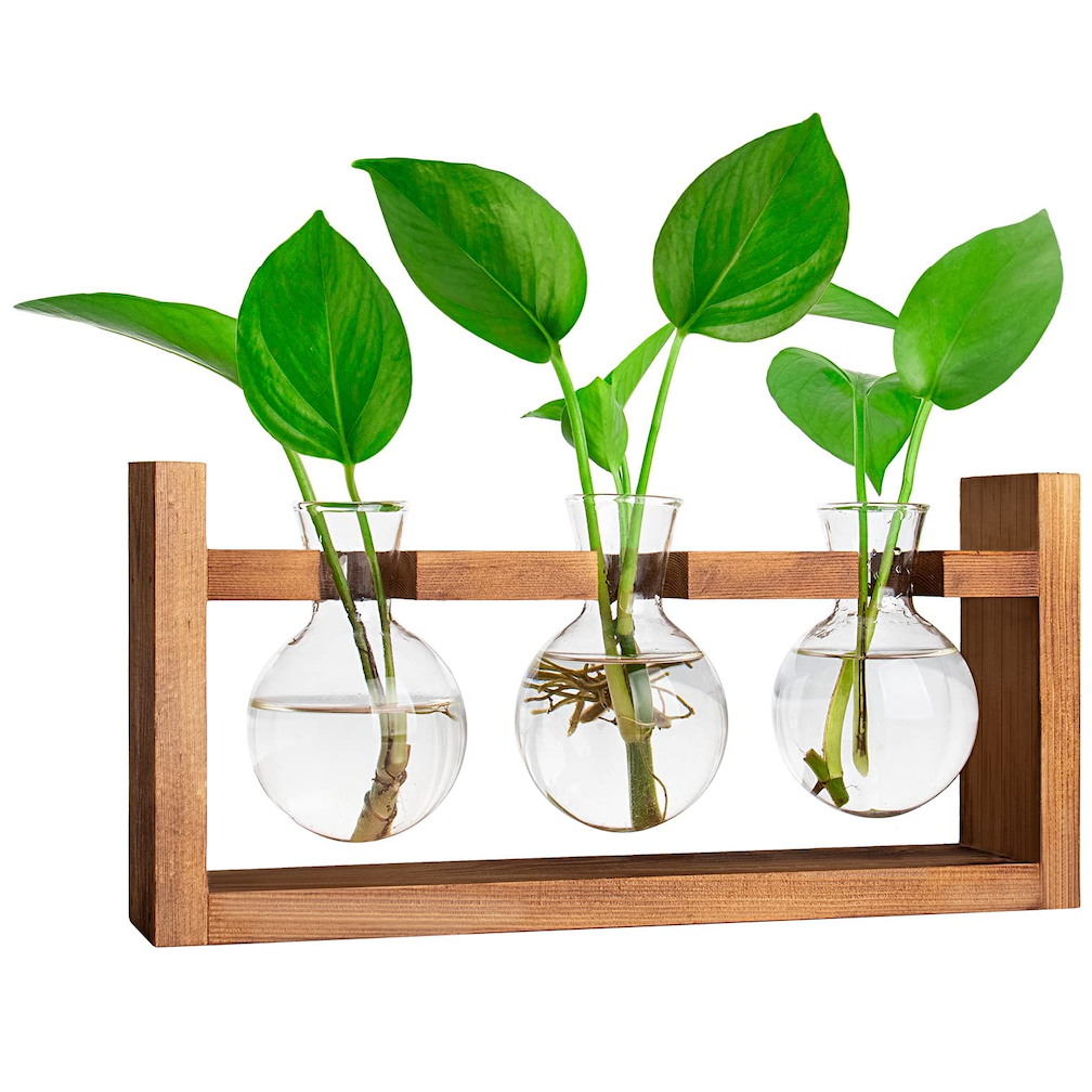 Ivolador Plant Terrarium with Wooden Stand