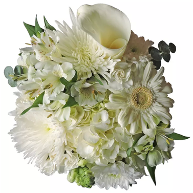 Member's Mark Mixed Farm Bunch in Simply White (8 bunches)