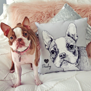 DrawYourPortrait Personalized Pet Pillow