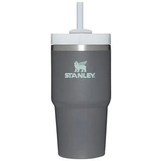 Stanley The Quencher H2.0 Flowstate 20 oz. Tumbler