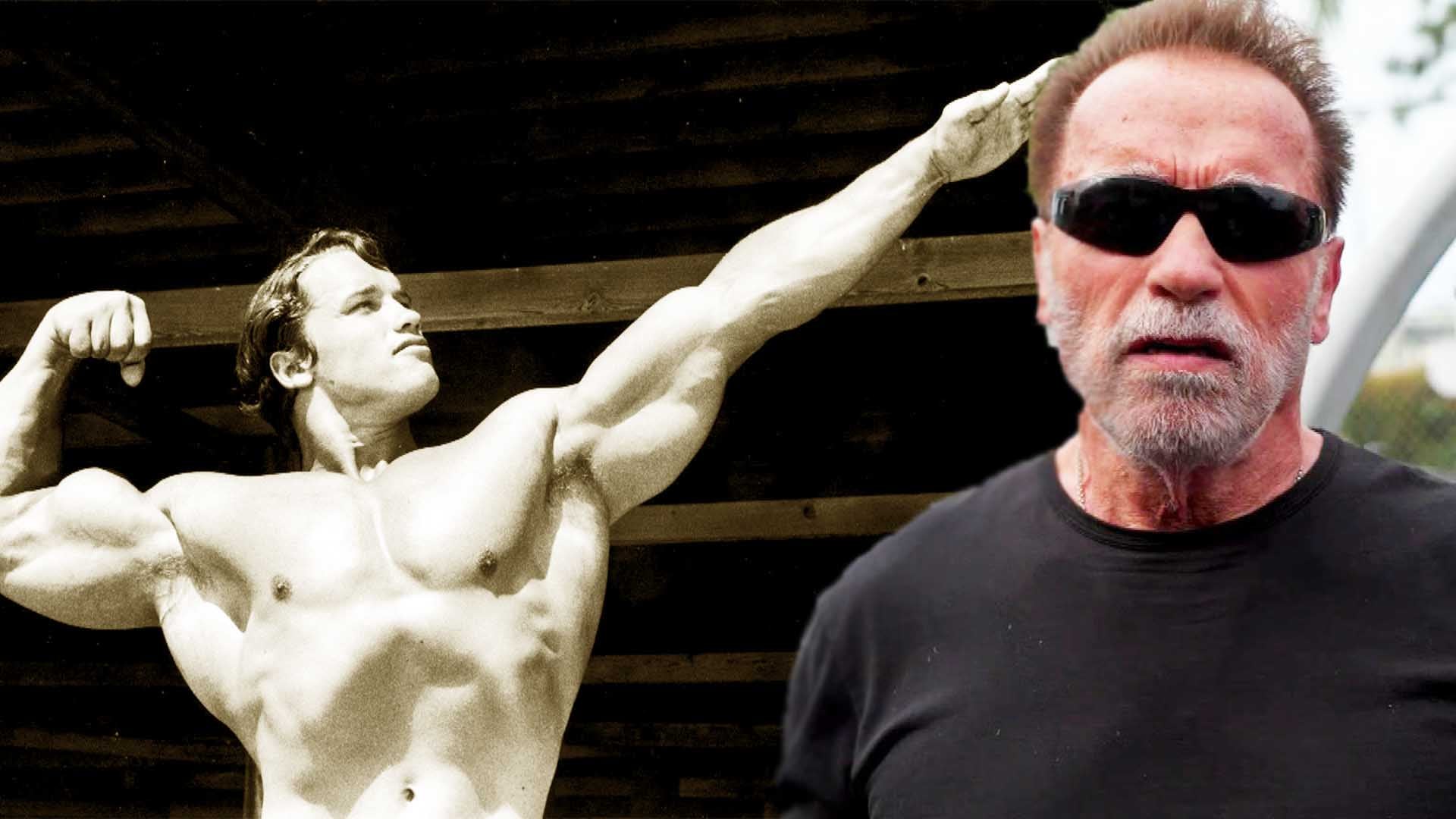 Arnold Schwarzenegger Bodybuilding Icon - Man Posing Sitting Art, HD Png  Download - 1021x1920(#193304) - PngFind